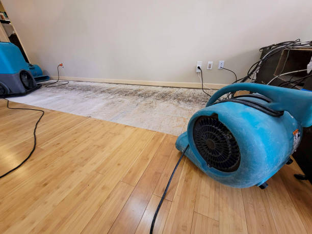 Professional Water Damage Repair technician working in Edgemoor, SC